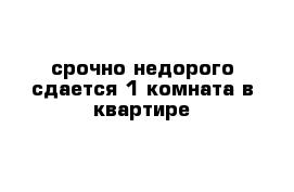 срочно недорого сдается 1 комната в квартире